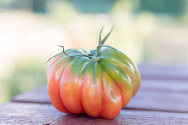 Ecological vegetables, cultivated with methods based on environmental respect and optimization of natural resources