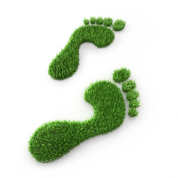ecological footprint symbol stock photo - recycling carbon footprint footprint sustainable resources imagens e fotografias de stock
