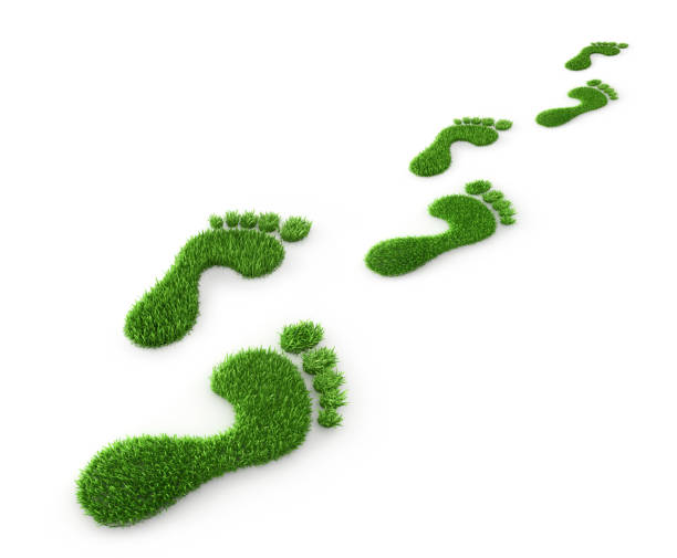 símbolo ecológico da pegada foto de stock - recycling carbon footprint footprint sustainable resources - fotografias e filmes do acervo