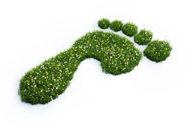 Ecological footprint symbol stock photo