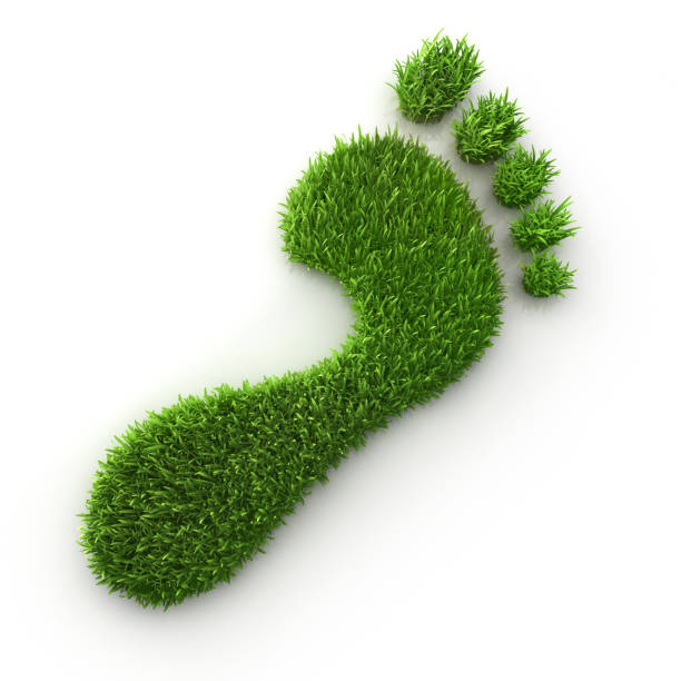 ecological footprint symbol stock photo - recycling carbon footprint footprint sustainable resources imagens e fotografias de stock