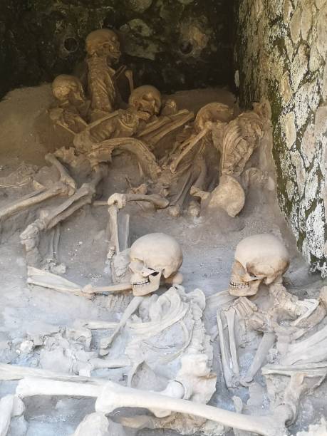 Herculaneum Roman skeletons Skeletons from the Roman port of Herculaneum victims the ruins of pompeii stock pictures, royalty-free photos & images