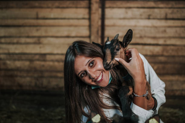 istock Goat farm- Everything about proper nutrition of your goats 1175019456