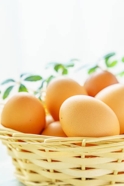 istock Fresh eggs on wooden background 1175020052