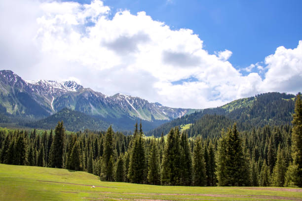 istock Hills covered with coniferous forest against the backdrop of a mountain range with snow-capped peaks and a cloudy sky 1175021308
