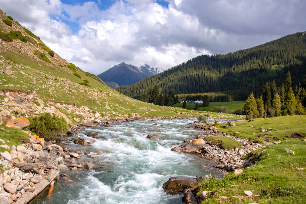 istock Mountain river between hills covered with coniferous forest against a cloudy sky 1175021330