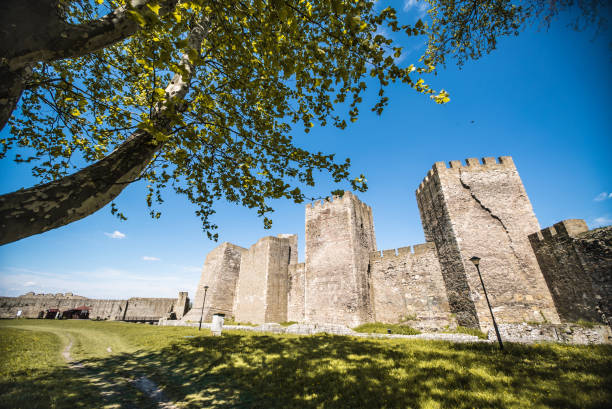 istock Smederevo Fortress 1175021439