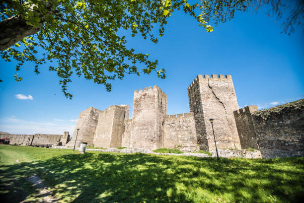 istock Smederevo Fortress 1175021455