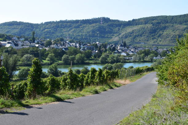 istock vineyard road in Mosel valley 1175021497