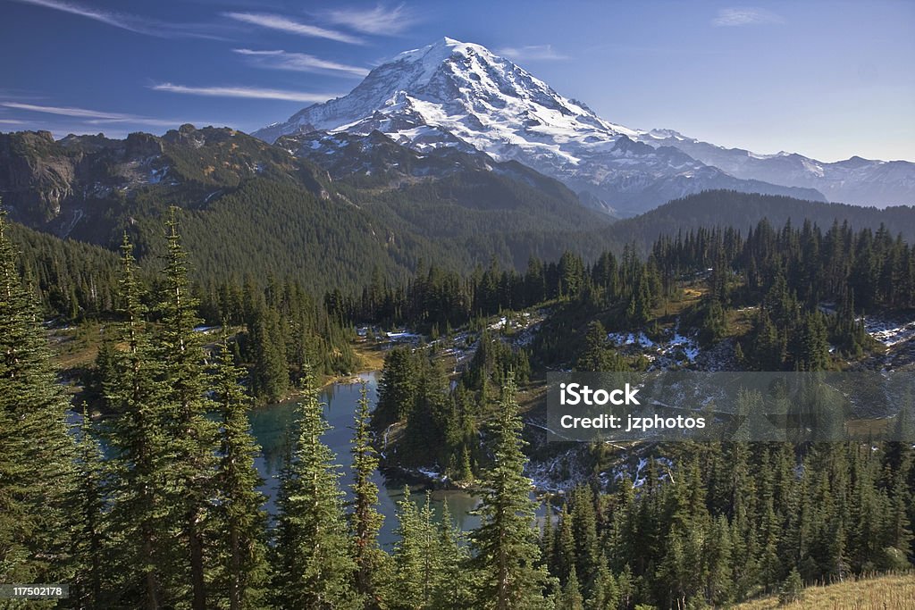 Góra Mount Rainier - Zbiór zdjęć royalty-free (Góra)