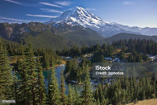 Góra Mount Rainier - zdjęcia stockowe i więcej obrazów Góra - Góra, Las, Bez ludzi