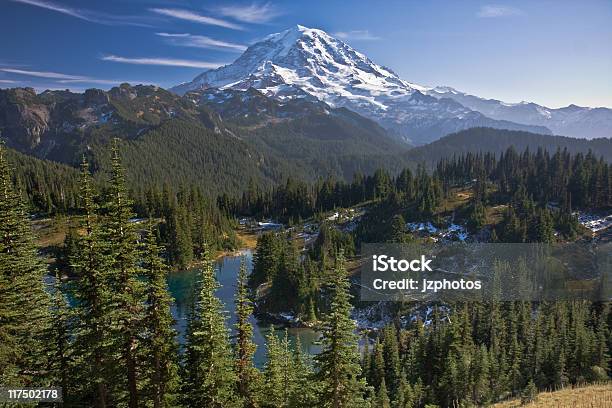 Monte Rainier - Fotografias de stock e mais imagens de Floresta - Floresta, Montanha, Alto - Descrição Física