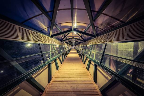 istock Crossings to other side 1175021784