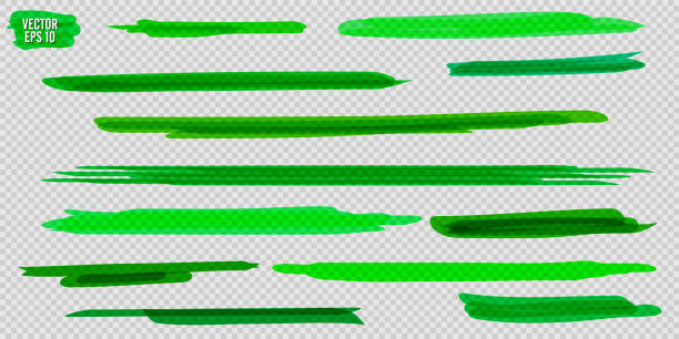 istock Set of highlighter brush pen hand drawn elements. Green layered hand drawings with solid lines, wavy strokes, and highlight marker sketchy rectangles. Vector illustration for school education material 1175025380