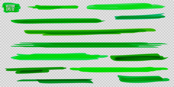 Set of highlighter brush pen hand drawn elements. Green layered hand drawings with solid lines, wavy strokes, and highlight marker sketchy rectangles. Vector illustration for school education material Set of highlighter brush pen hand drawn elements. Green layered hand drawings with solid lines, wavy strokes, and highlight marker sketchy rectangles. Vector illustration for school education materia permanent marker stock illustrations