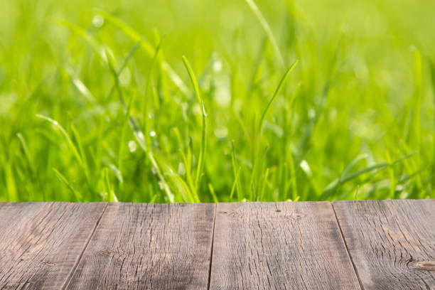 istock Old wooden background overlooking lush greens. 1175026821