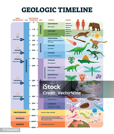 Geologic Time Scale 4 Eras