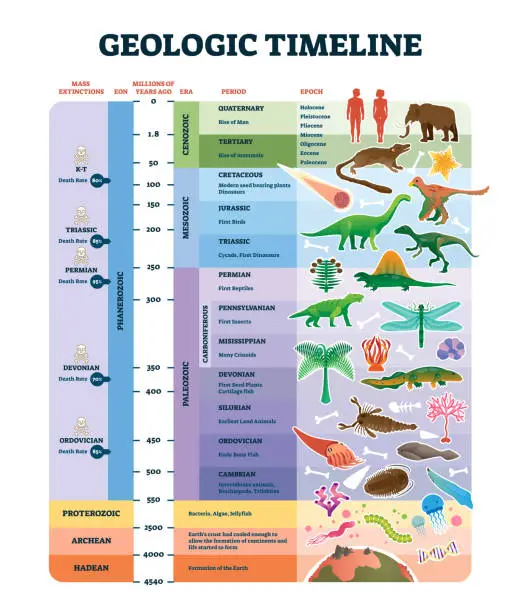 Vector illustration of Geologic timeline scale vector illustration. Labeled earth history scheme.