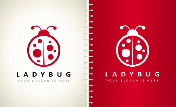 illustrazioni stock, clip art, cartoni animati e icone di tendenza di vettore coccinella. design degli insetti. - ladybug