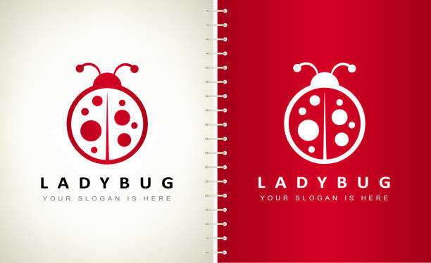 ilustrações de stock, clip art, desenhos animados e ícones de ladybug vector. insect design. - ladybug