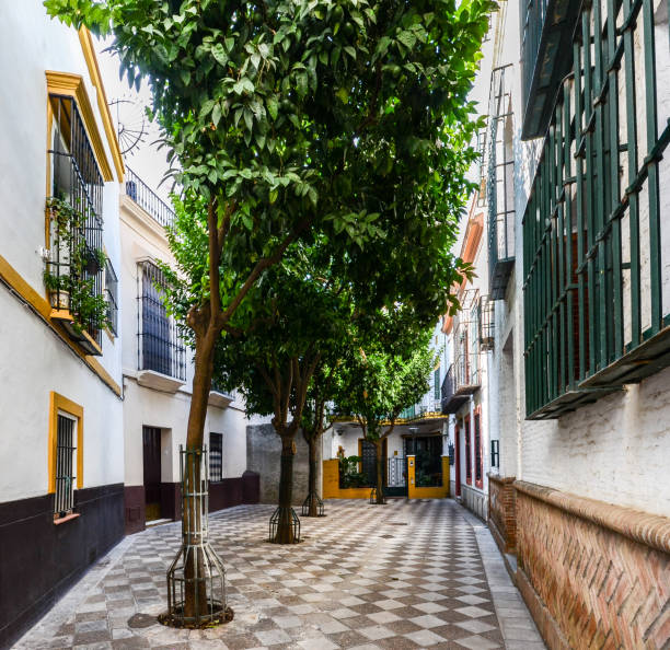 Quiet cul de sac in Santa Cruz, Seville, Andalusia, Spain Quiet cul de sac in the famous neighborhood of Holy Cross, also known as Barrio de Santa Cruz, Seville, Andalusia, Spain, a former Jewish Quarter - wide angle view santa cruz seville stock pictures, royalty-free photos & images