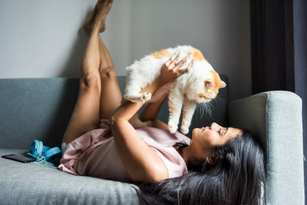 istock woman play with exotic shorthair cat on sofa 1175031761