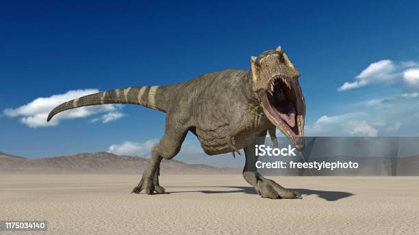Trex Dinosaur Tyrannosaurus Rex Reptile Running Prehistoric Jurassic Animal  In Deserted Nature Environment 3d Rendering Stock Photo - Download Image  Now - iStock