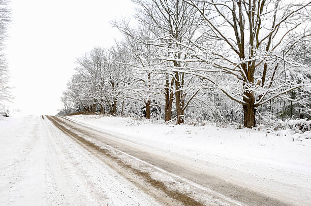 istock Country road in the snow 117503651