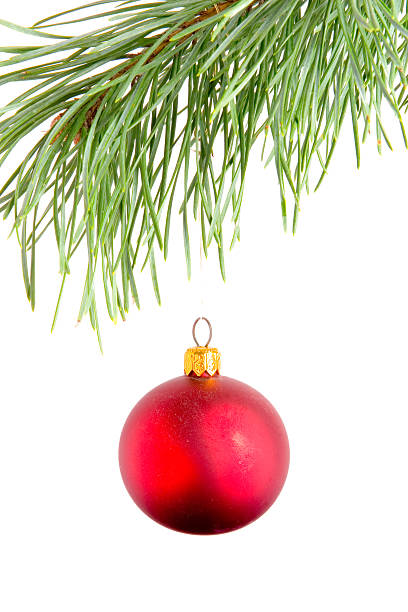 istock Red ball on fir branch 117503655