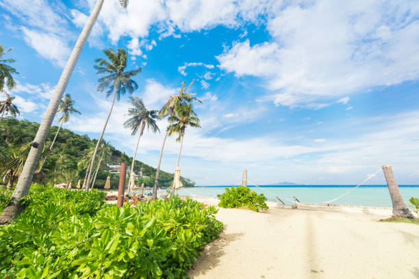 istock Asian tropical sandy beach paradise with tall palms in Thailand 1175037334