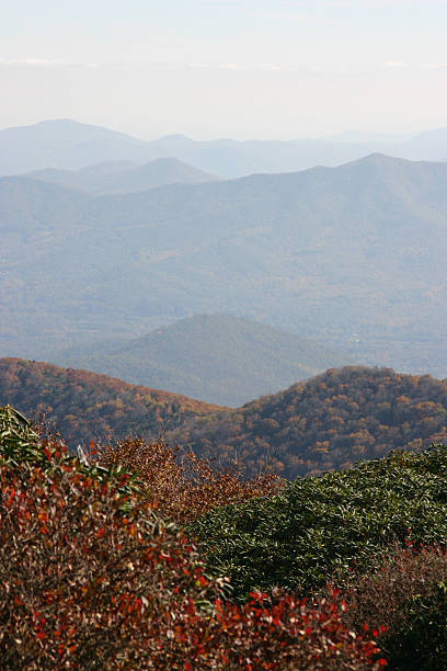 istock Autumn in the Appalachians 117503755