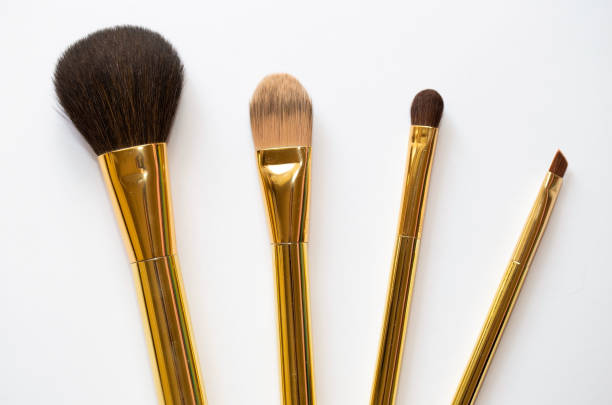 Makeup Brush Set Isolated In White Background