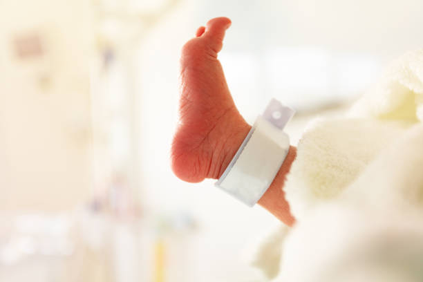 Profile of a infant feet in hospital crib label Profile view of newborn child's feet with label from maternity ward premature stock pictures, royalty-free photos & images