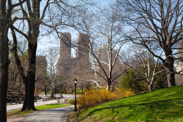 istock NY city through spring trees in central park 1175040104