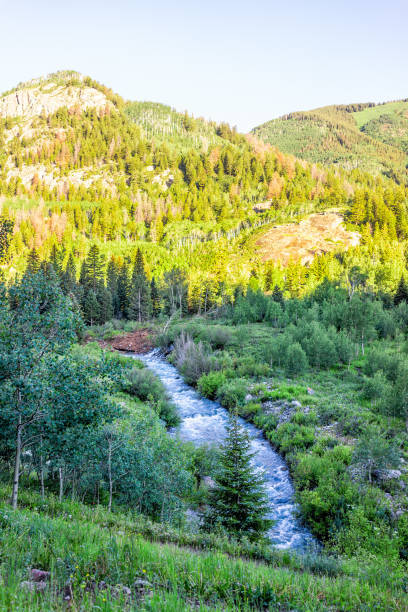 vista vertical do rio ensolarado na fuga do hike do lago snowmass em colorado no parque da floresta nacional e na água de snowmass creek que flui a opinião de ângulo elevado - vertical forest national forest woods - fotografias e filmes do acervo