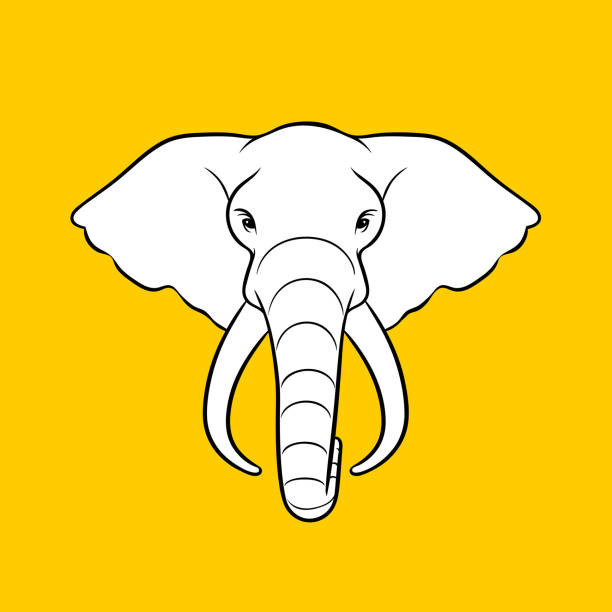 Elephant Head Vector illustration of an elephant head on tellow background. tusk stock illustrations