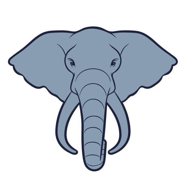 ilustrações de stock, clip art, desenhos animados e ícones de elephant head - elephant head