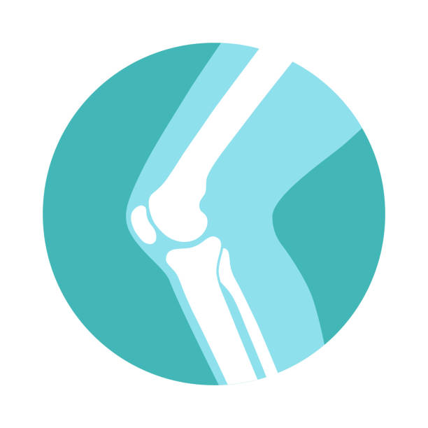 Knee joint Knee joint icon. Knee bones graphic sign. Symbol human joint in the circle isolated on white background. Flat design. Vector illustration human joint stock illustrations