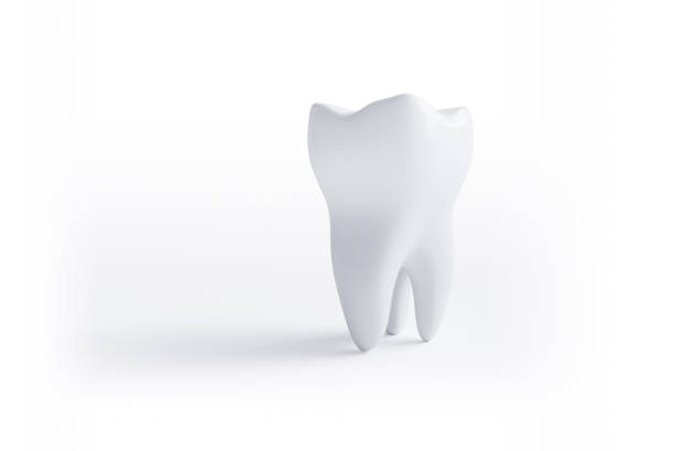 istock Tooth isolated on white background with clipping path. 3d render illustration 1175047326