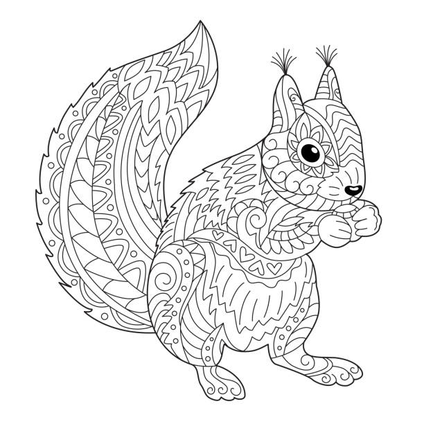 131 Squirrel Outline Pictures Illustrations & Clip Art - iStock