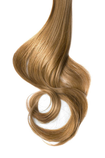istock Brown hair, isolated on white background 1175047376