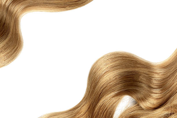 istock Natural brown hair isolated on white. Background, copy space 1175047434