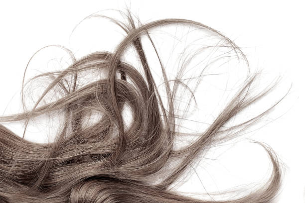 istock Disheveled brown hair isolated on white background 1175047451