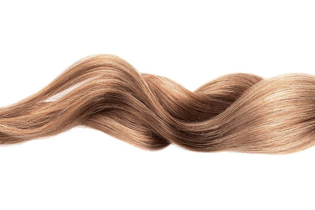 茶色の光沢のある髪の波、白の上に隔離