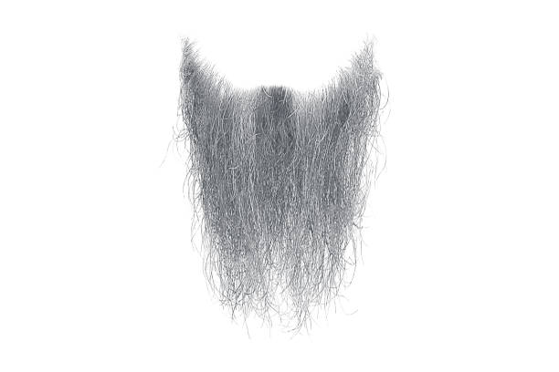 Disheveled gray beard isolated on white. Mens fashion Disheveled gray beard isolated on white. Mens fashion beard stock pictures, royalty-free photos & images