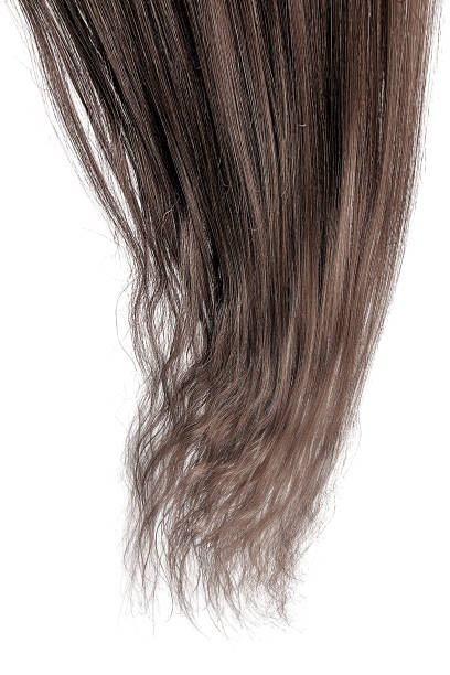 istock Lush brown hair, isolated on white background 1175047604