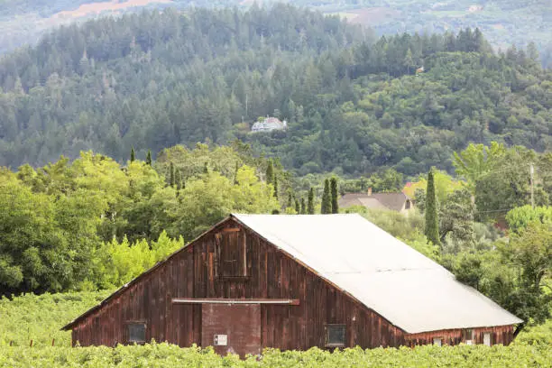 Photo of Napa Valley Wine Vineyard Barn
