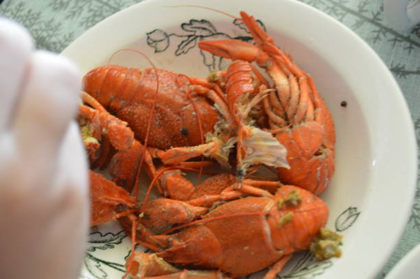 istock Prepared boiled crayfish in a plate 1175047795