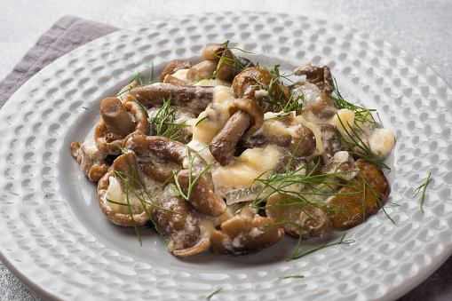 Stewed mushrooms in sauce with sour cream and cheese on a plate.