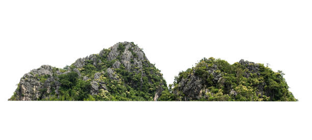 istock rock mountain hill with  green forest isolate on white background 1175049517